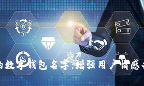 探索富有寓意的数字钱包名字：增强用户情感共鸣与品牌价值