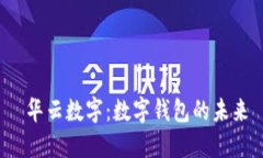  华云数字：数字钱包的未来