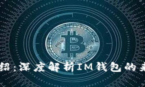 IM钱包介绍：深度解析IM钱包的来源与发展