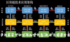 伊朗是否可以使用加密钱包：现状与前景分析
