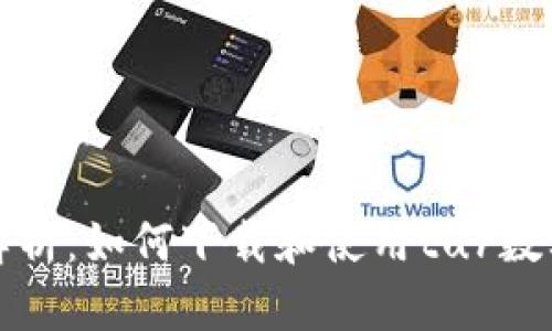全面解析：如何下载和使用tur数字钱包