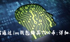 如何通过im钱包购买TRX币：详细指南
