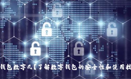 : 钱包数字几？了解数字钱包的安全性和使用技巧