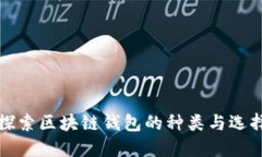 全面探索区块链钱包的种类与选择指南