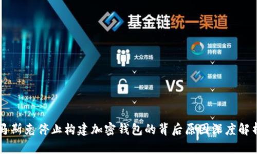 马斯克停止构建加密钱包的背后原因深度解析