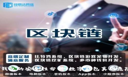 数字钱包的安全性分析：数字钱包真的危险吗？