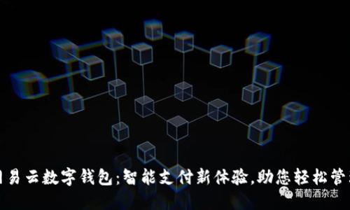 工行网易云数字钱包：智能支付新体验，助您轻松管理财务