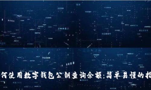 如何使用数字钱包公钥查询余额：简单易懂的指南