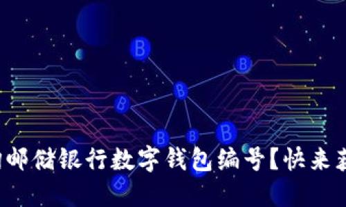 如何高效查询邮储银行数字钱包编号？快来获取实用技巧！