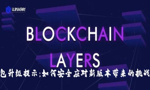 数字钱包升级提示：如何安全应对新版本带来的挑战与机遇