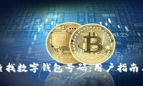 如何快速查找数字钱包号码：用户指南与实用技巧