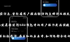   BHD数字钱包使用攻略与优势分析 /  guanjianci BH