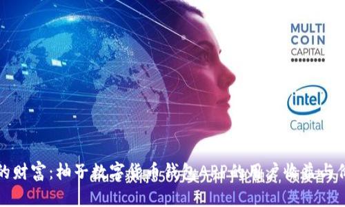 打造您的财富：柚子数字货币钱包APP的用户收益与价值解析