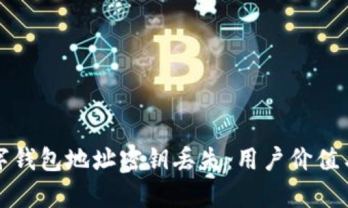 如何应对数字钱包地址密钥丢失：用户价值与安全性分析