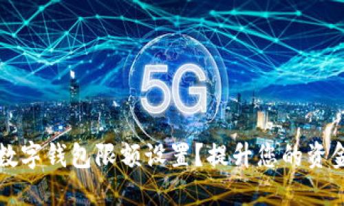 如何调整数字钱包限额设置？提升您的资金管理能力