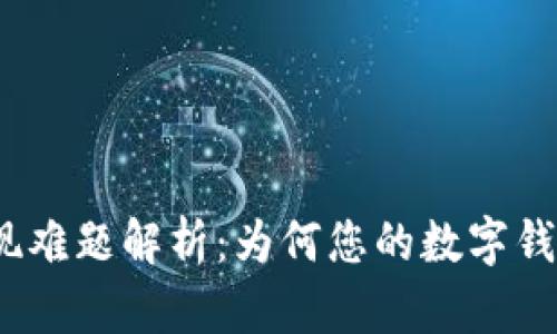 数字钱包提现难题解析：为何您的数字钱包无法提现？