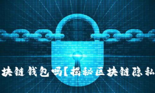 警察可以查区块链钱包吗？揭秘区块链隐私与执法的博弈