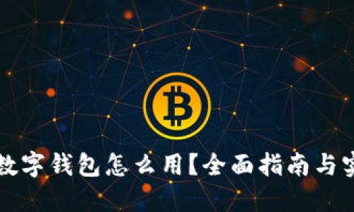 刚开通数字钱包怎么用？全面指南与实用技巧
