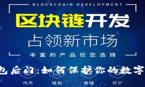 区块链钱包后门：如何保护你的数字资产安全？