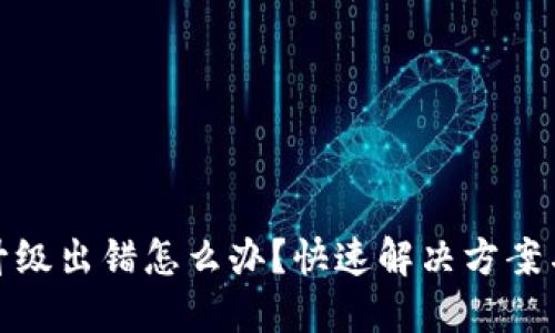 数字钱包升级出错怎么办？快速解决方案与实用技巧