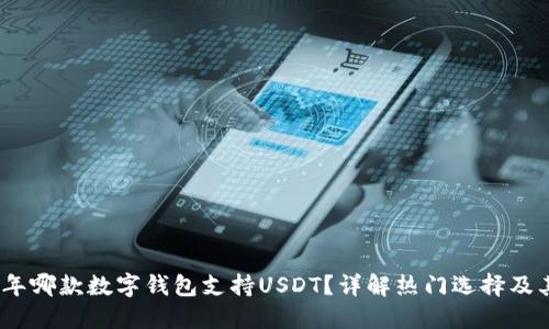2023年哪款数字钱包支持USDT？详解热门选择及其优势