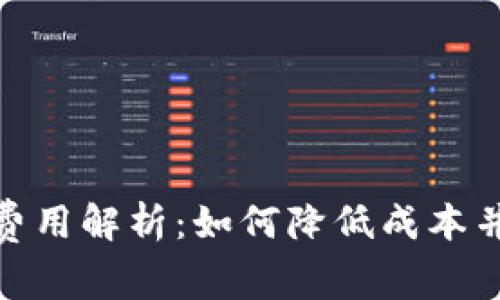 数字钱包审核费用解析：如何降低成本并提升用户体验