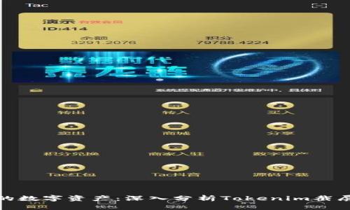 保护你的数字资产：深入分析Tokenim截屏安全性