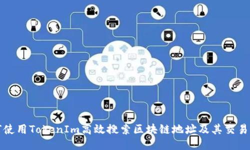 如何使用TokenIm高效搜索区块链地址及其交易记录