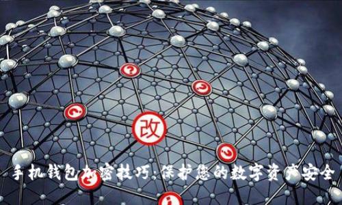 手机钱包加密技巧：保护您的数字资产安全