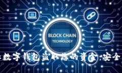 如何防止数字钱包盗取您的资金：安全保护指南