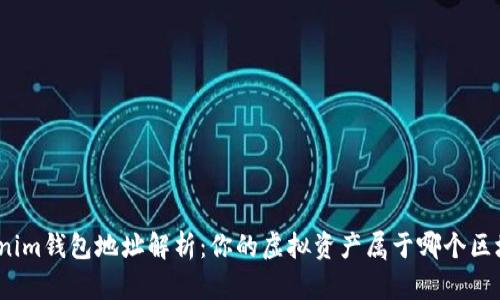 Tokenim钱包地址解析：你的虚拟资产属于哪个区块链？