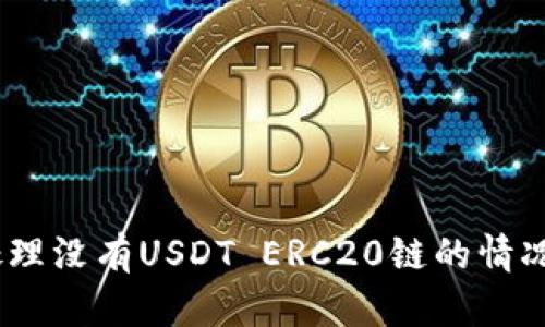 如何在Tokenim上处理没有USDT ERC20链的情况：替代选择及其优势