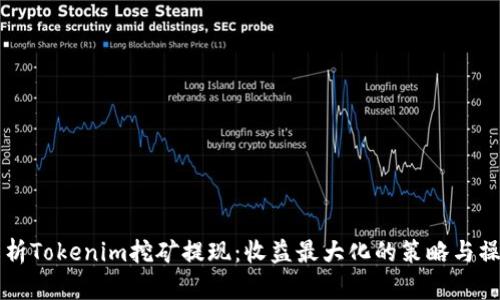 深入解析Tokenim挖矿提现：收益最大化的策略与操作指南
