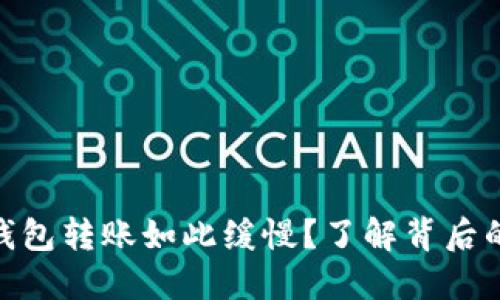 为什么Tokenim钱包转账如此缓慢？了解背后的原因与解决方案