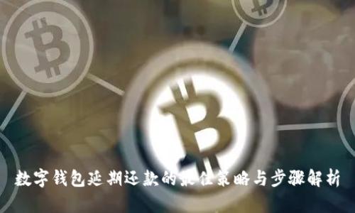 数字钱包延期还款的最佳策略与步骤解析