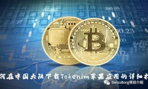 如何在中国大陆下载Tokenim苹果应用的详细指南