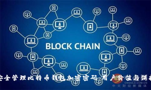 如何安全管理比特币钱包加密密码：用户价值与保护措施