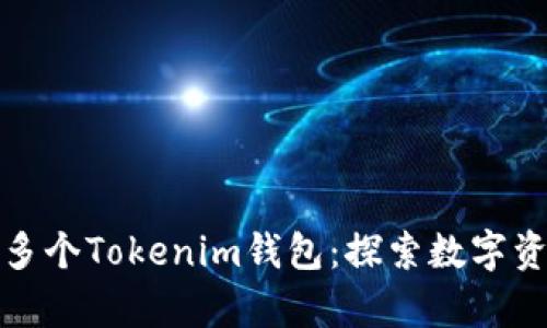 一个人可以拥有多个Tokenim钱包：探索数字资产管理的灵活性