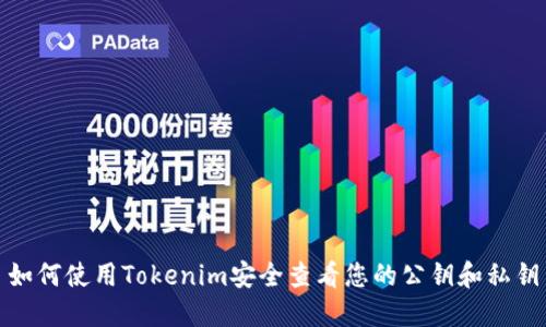 如何使用Tokenim安全查看您的公钥和私钥