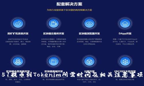 51提币到Tokenim所需时间及相关注意事项