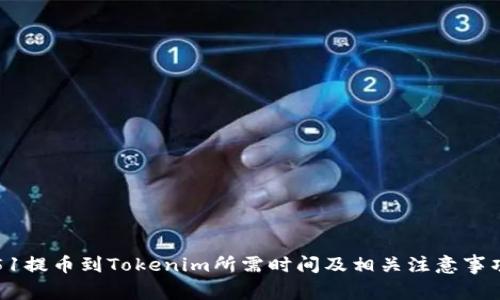 51提币到Tokenim所需时间及相关注意事项