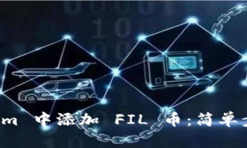 如何在 Tokenim 中添加 FIL 币：简单步骤与详细指南