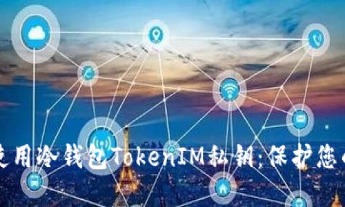 如何安全使用冷钱包TokenIM私钥：保护您的数字资产