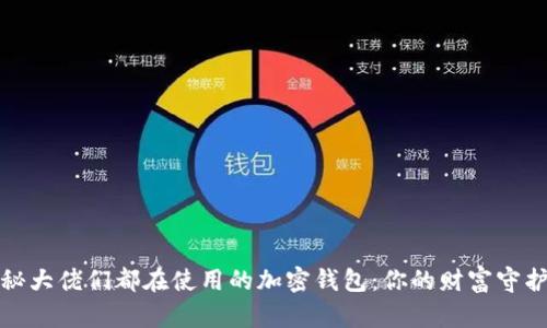 揭秘大佬们都在使用的加密钱包：你的财富守护者