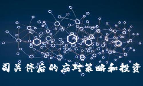 Tokenim公司关停后的应对策略和投资者保护指南