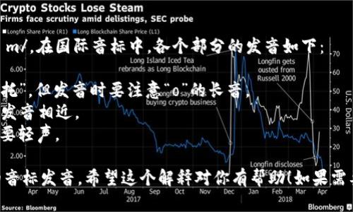“tokenim”的音标可以拼作 /ˈtoʊ.kə.nɪm/。在国际音标中，各个部分的发音如下：

- /ˈtoʊ/：表示“to”的发音，类似于中文的“托”，但发音时要注意“o”的长音。
- /kə/：这个音节听起来像“可”，与普通话的发音相近。
- /nɪm/：这个音节发音类似中文的“宁”，但要轻声。

所以，将这三个音节连起来，就是“tokenim”的音标发音。希望这个解释对你有帮助！如果需要更多关于该词或相关内容的信息，请告诉我。