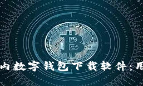 如何选择合适的国内数字钱包下载软件：用户价值与收益分析