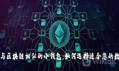 Title: 深入探索与区块链相似的小钱包：如何选择适合您的数字资产管理工具