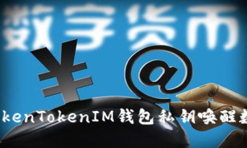 如何用TokenTokenIM钱包私钥唤醒数字资产？
