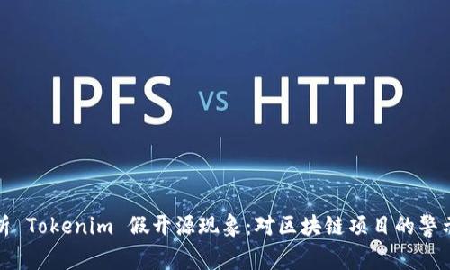 深入解析 Tokenim 假开源现象：对区块链项目的警示与思考